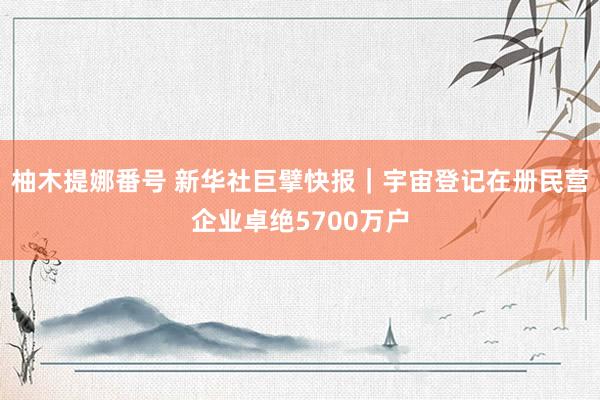 柚木提娜番号 新华社巨擘快报｜宇宙登记在册民营企业卓绝5700万户