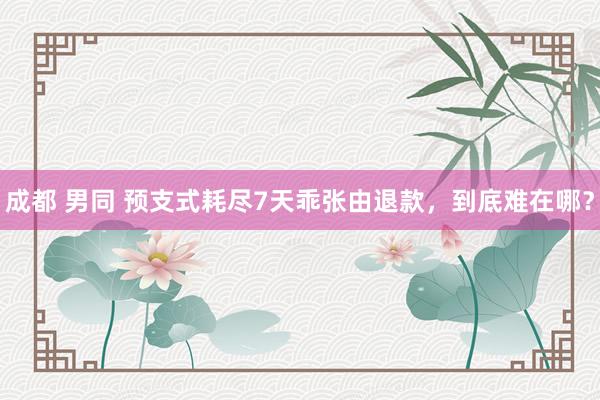 成都 男同 预支式耗尽7天乖张由退款，到底难在哪？