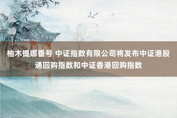 柚木提娜番号 中证指数有限公司将发布中证港股通回购指数和中证香港回购指数