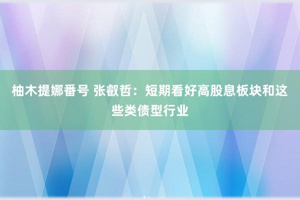 柚木提娜番号 张叡哲：短期看好高股息板块和这些类债型行业