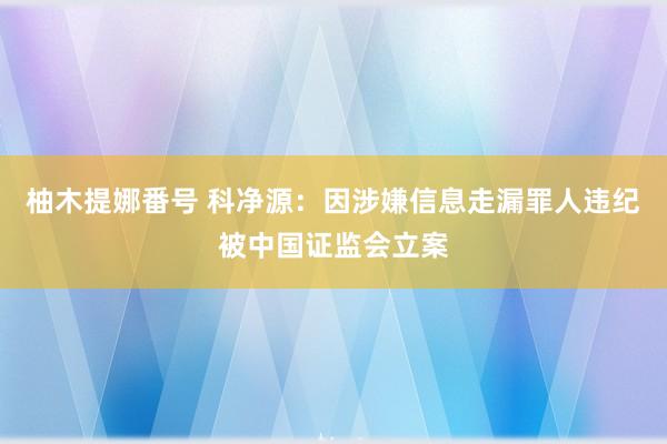 柚木提娜番号 科净源：因涉嫌信息走漏罪人违纪被中国证监会立案
