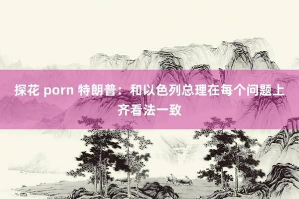 探花 porn 特朗普：和以色列总理在每个问题上齐看法一致