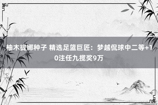 柚木提娜种子 精选足篮巨匠：梦越侃球中二等+10注任九揽奖9万