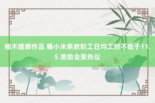 柚木提娜作品 曝小米条款职工日均工时不低于11.5 激励会聚热议