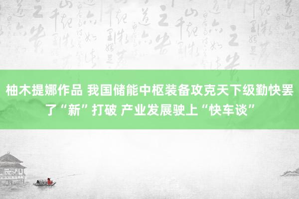 柚木提娜作品 我国储能中枢装备攻克天下级勤快罢了“新”打破 产业发展驶上“快车谈”