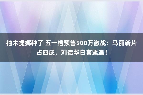 柚木提娜种子 五一档预售500万激战：马丽新片占四成，刘德华白客紧追！