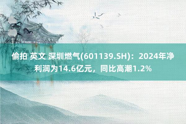 偷拍 英文 深圳燃气(601139.SH)：2024年净利润为14.6亿元，同比高潮1.2%