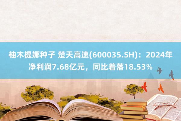 柚木提娜种子 楚天高速(600035.SH)：2024年净利润7.68亿元，同比着落18.53%