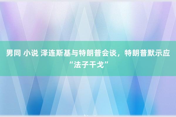 男同 小说 泽连斯基与特朗普会谈，特朗普默示应“法子干戈”